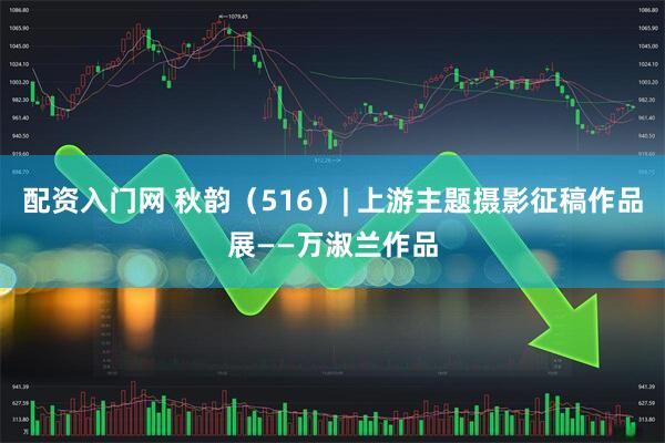 配资入门网 秋韵（516）| 上游主题摄影征稿作品展——万淑兰作品